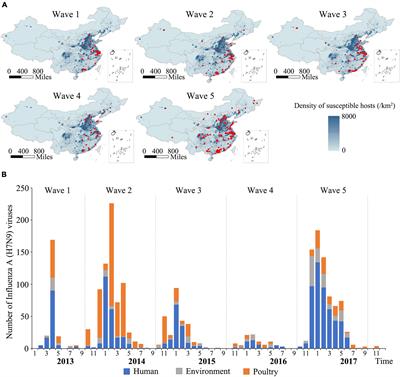 Spatio-temporal spread and evolution of influenza A (H7N9) viruses